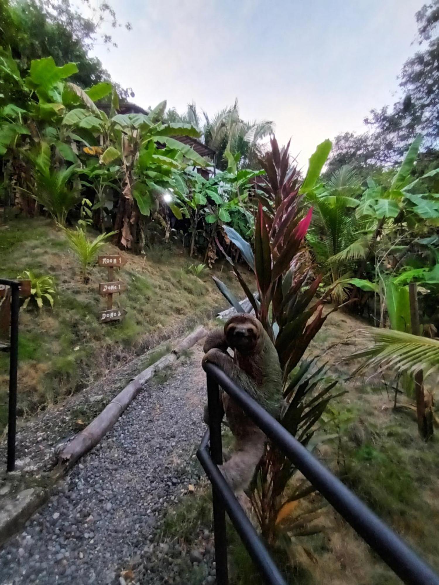 Glamping Tomaselli * Manuel Antonio